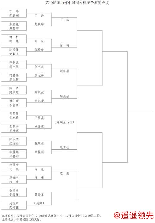 第19届阳山杯中国围棋棋王争霸赛 丁浩谢科等晋级8强